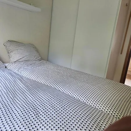 Chalet De Kleine Kriemelkuil-vakantiehuisje De Specht Op De Veluwe Ermelo